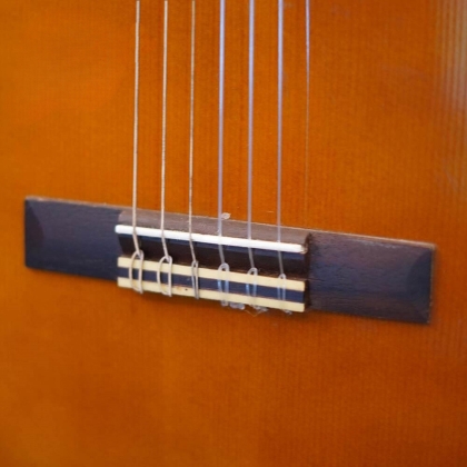 Đàn Guitar Classic YAMAHA CGS102A