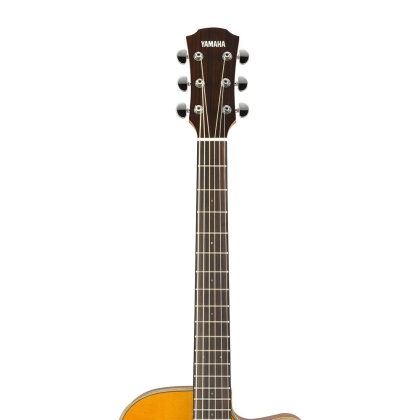Đàn Guitar Acoustic YAMAHA AC1M
