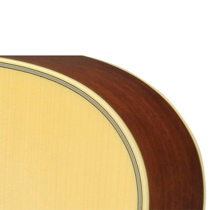 Đàn Guitar Acoustic Yamaha LL16M