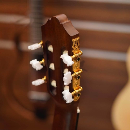 Đàn Guitar Classic YAMAHA C80