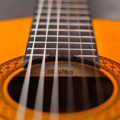 Đàn Guitar Classic YAMAHA C80