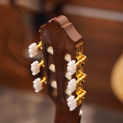 Đàn Guitar Classic YAMAHA C70