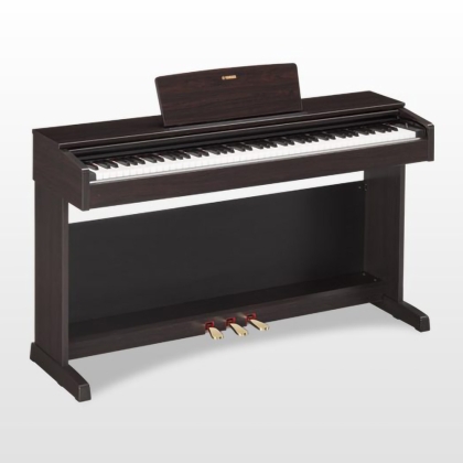 Đàn Piano YAMAHA YDP 143R