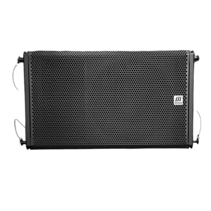 Loa Araay hiệu M.sound LA – 112