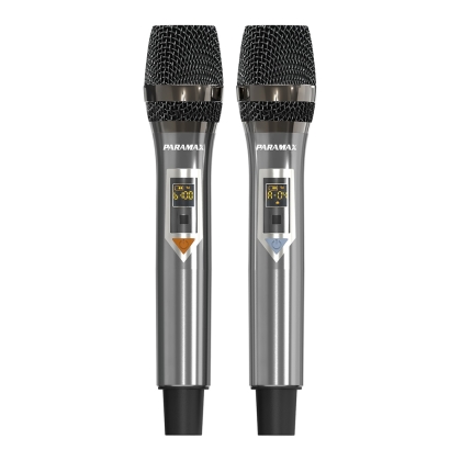 Amply karaoke Paramax AX-1200